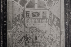 NOUHA-LEMDELDEL
