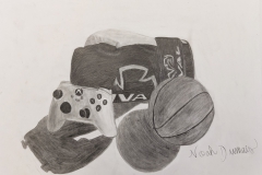 NOAH-DUMAIS