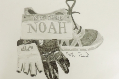 NOAH-PICARD