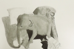 NOAH-RODRIGUE