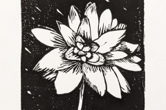 ARIANNE-GAUDET-LAHAISE