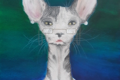LE PORTRAIT ANIMALIER (SEC. 5, 2020)