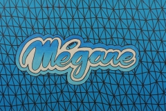 MEGANE-PAQUETTE