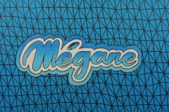 MEGANE-PAQUETTE