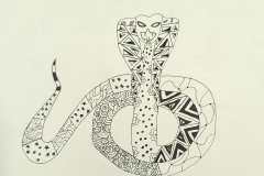 AISHA-OLLANDIE-LOUIS