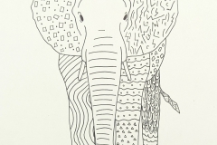 IRIS-FERLAND