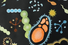 LES MICROBES (SEC. 2, 2020)