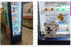 GABRIELLE-COURSIOL-ET-NAOMIE-RANGER