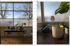 Création sans titre - 19