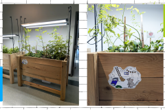 Création sans titre - 12