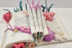 GAELLE-ALLARD-MAELY-GUAY